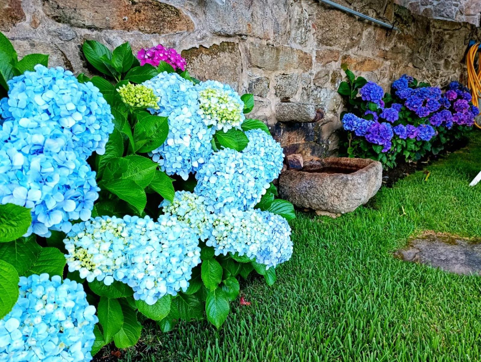 Willa Remanso Azul Moaña Zewnętrze zdjęcie